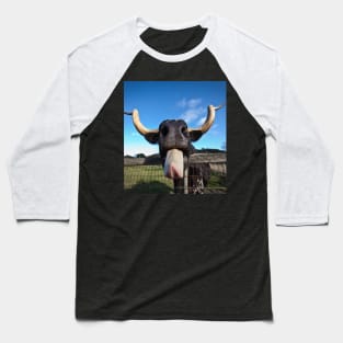 Cow Tongue Funny Cute Cow Baseball T-Shirt